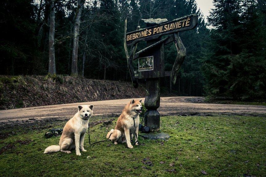 creative canine names inspired