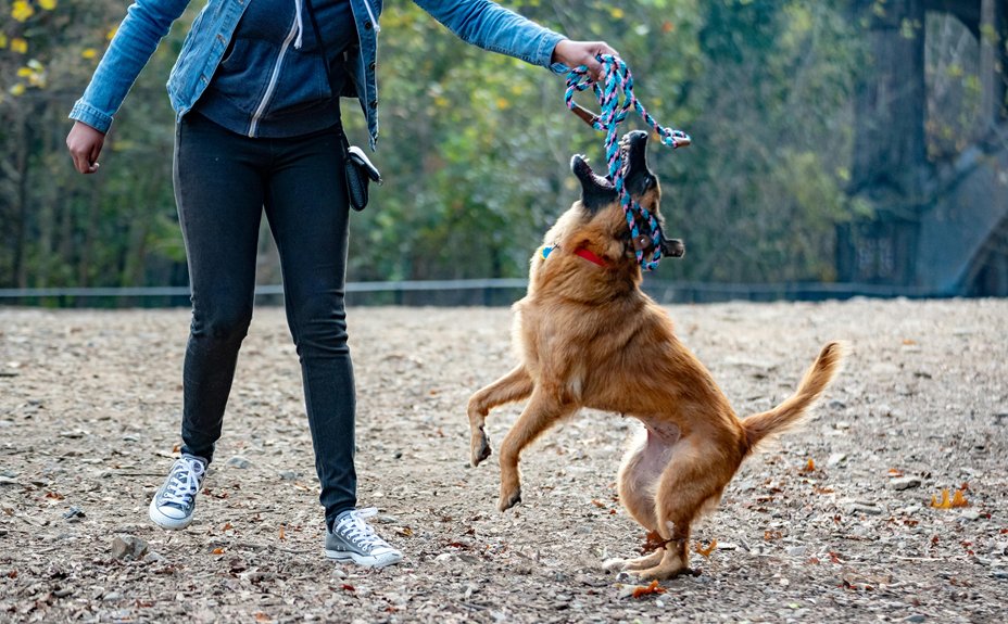 creative names for dogs