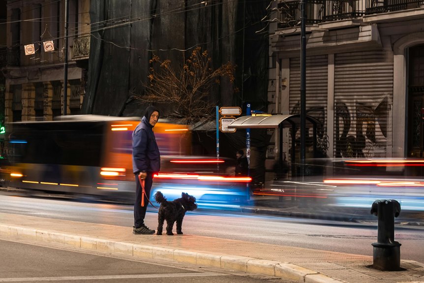 names for dogs in athens