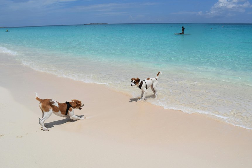 names for dogs inspired by bahamas