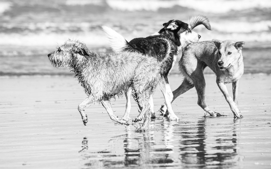 unique names for dogs